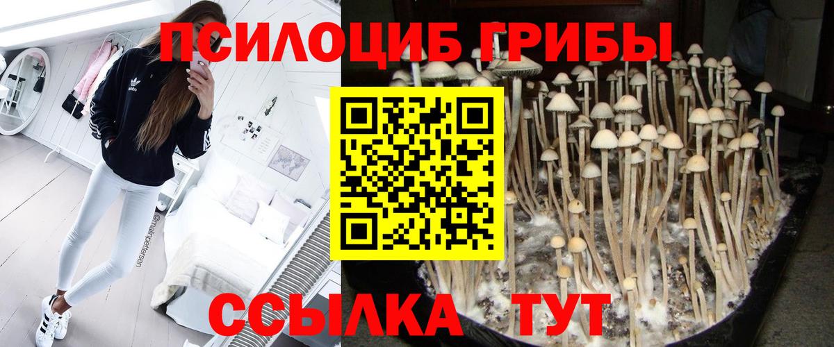 Бутурлиновка  Псилоцибиновые грибы прущие грибы  Вход с VPN 